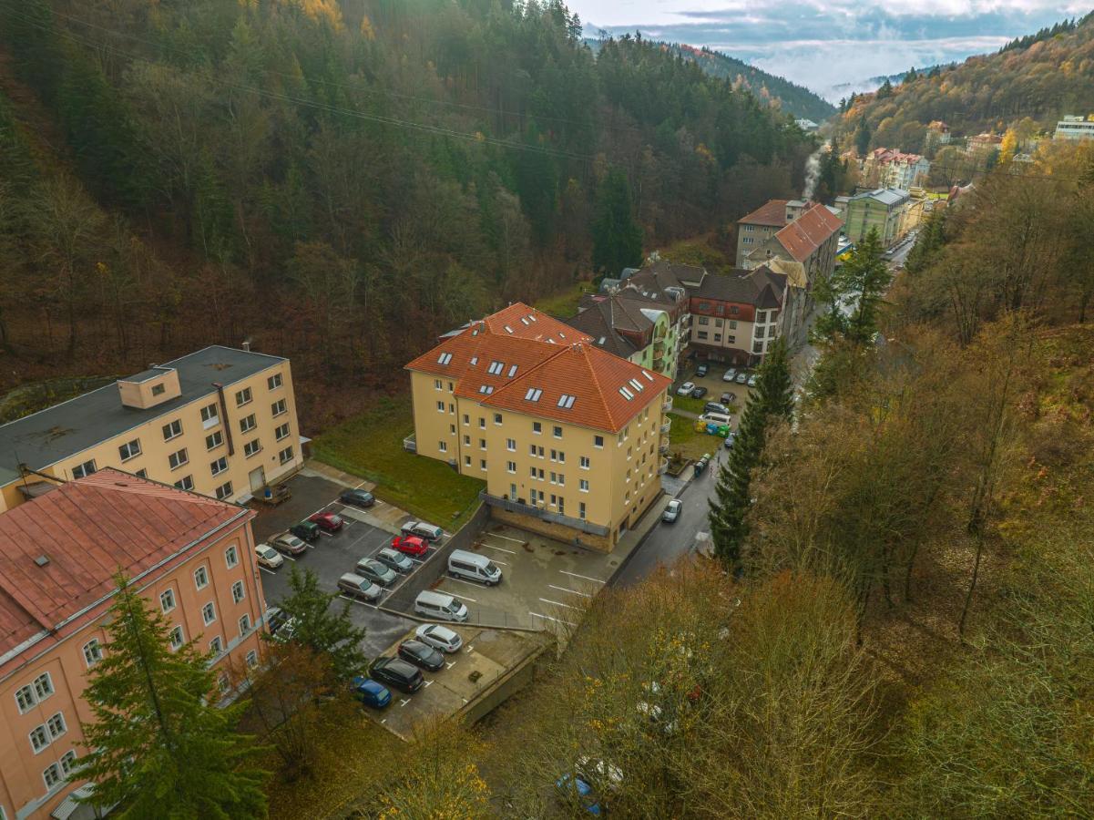 Forest Apartment With Sauna Jáchymov Extérieur photo